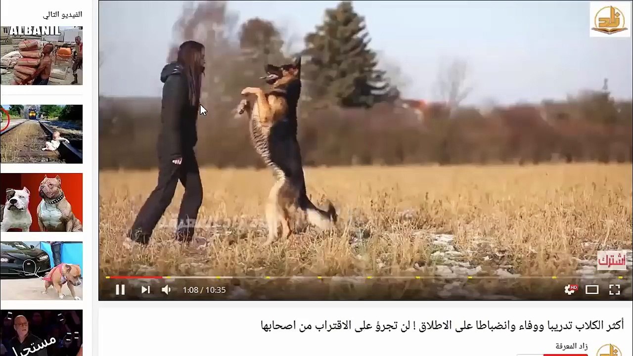 شاهد الرحمة التي زرعها الله في الفيل !!! مقطع في قمة الروووعة !