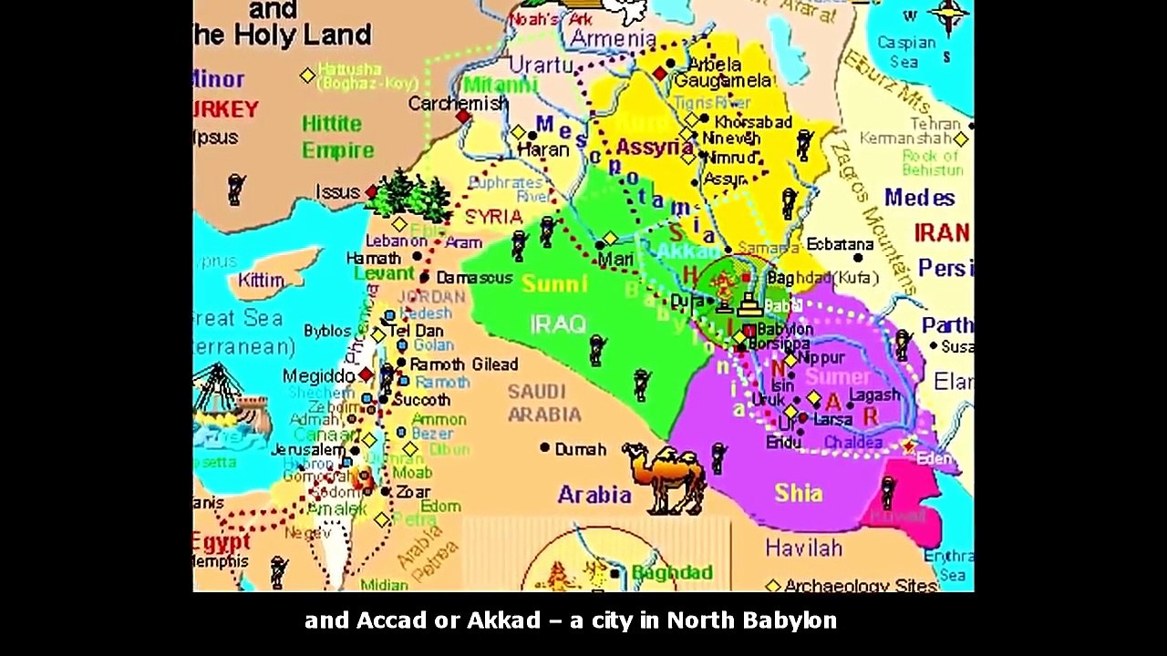 The Alien Races - Over 82 Species On Earth! [Ep. 1]