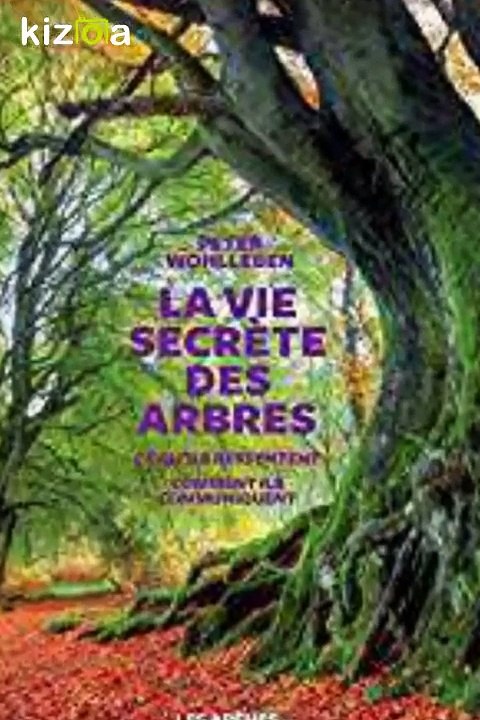 Livres anciens et modernes