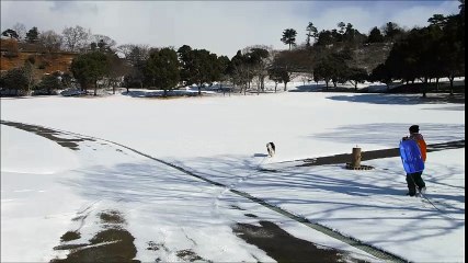 雪の神山森林公園