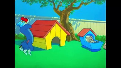 Tom and Jerry Tom and Jerry | Ep. 82 | Hic cup Pup (1954) - [My - Cartoons For Kids  Ep. 77