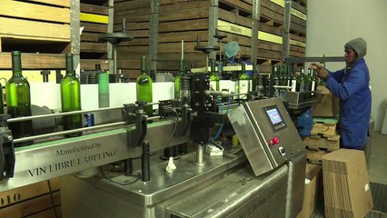 Black South African winemaker shakes up industry