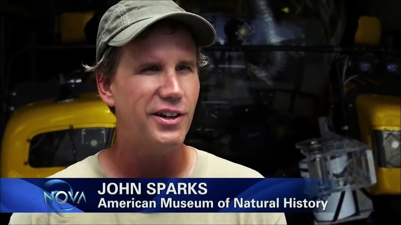 National Geographic Creatures of Light