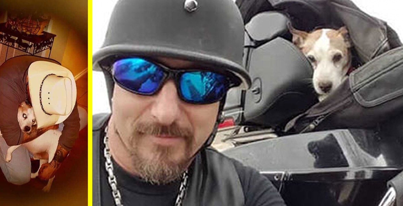 Jeté par la fenêtre d’une voiture, ce chien est récupéré par un motard de grand cœur qui poursuit alors le coupable.