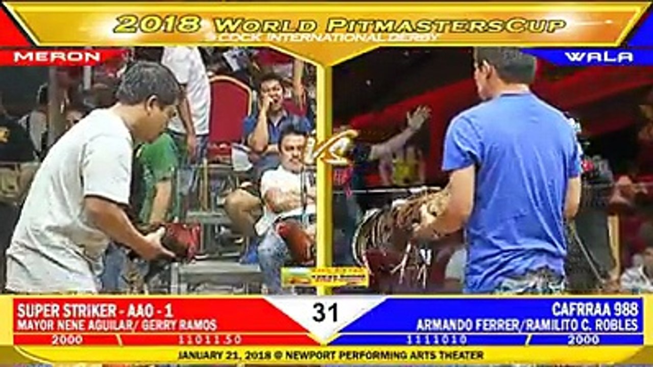 WORLD PITMASTER CUP 2018 #FIGHT 31 SUPER STRIKER - AAO - 1 VS CAFRRAA 988