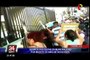 Familiares de niño que falleció por caerle un arco de fútbol protestan frente a la Municipalidad de Chorrillos