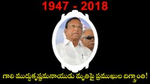 Former AP Minister and TDP MLC Gali Muddukrishnama Naidu Lost Life