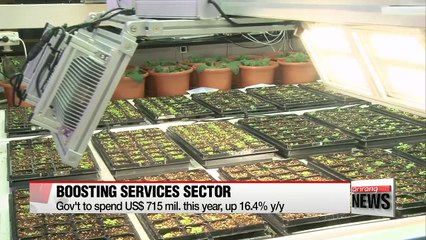 Gov't lays out plans to boost local services sector