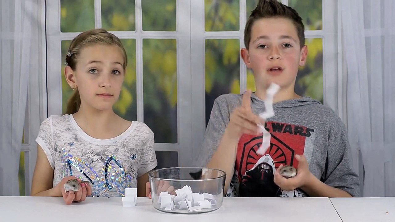 Q&A #2 + SHOUT OUTS + FAN MAIL! PLP TV