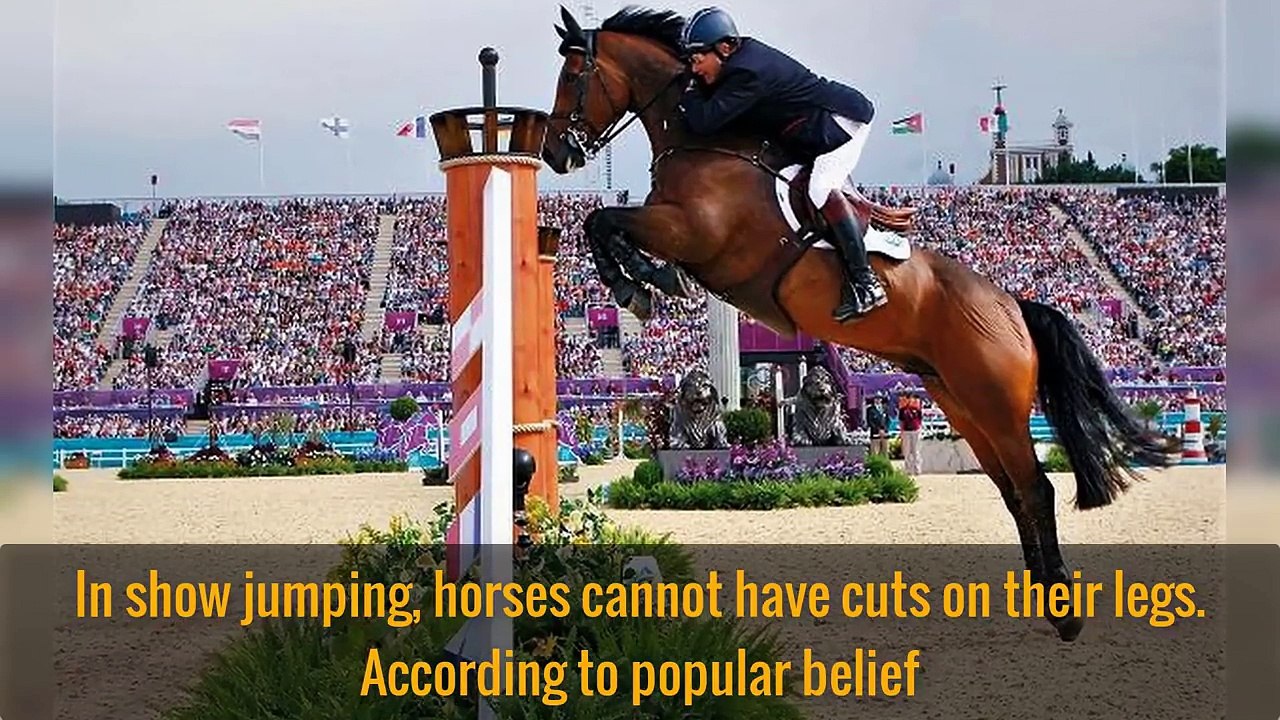20 Weirdest Rules in Sports