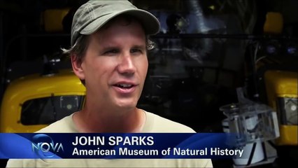 National Geographic Creatures of Light
