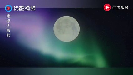 《極地長征 Eight Below》因为天上的奇特景观，雪橇犬惨受伤