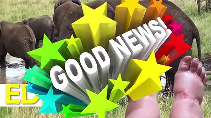 10 Warning Signs Your Liver Is Full of Toxins