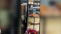 Terekam video! Tikus di dapur Bread Talk - TomoNews
