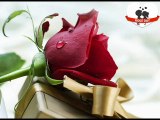 Valentine Week List 2018 – Acchajee Blog