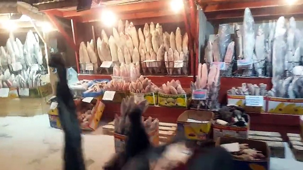La température est descendu jusqu'à -68°C - Vidéo du marché