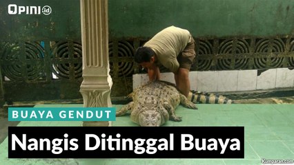 #1MENIT | Nangis Ditinggal Buaya
