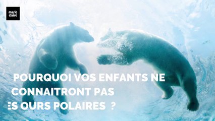 Pourquoi vos enfants ne connaitront pas les ours polaires ?