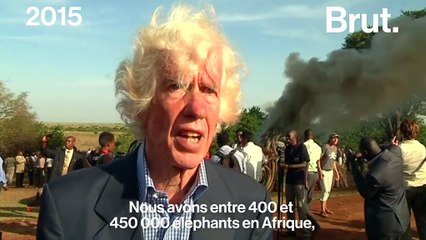 L’un des leaders de la lutte contre le braconnage a été assassiné au Kenya