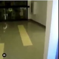 Couldn’t stop laughing 