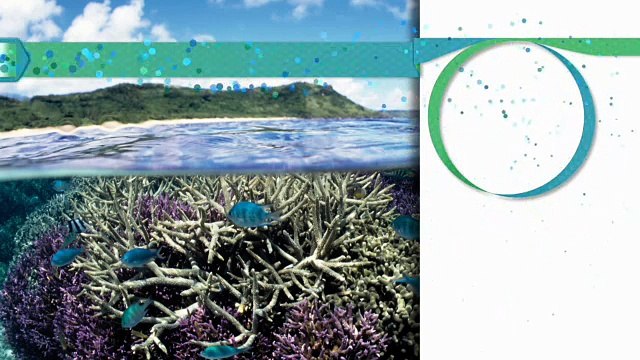 Oxford Discover Level 4 Big Question 9 Why Are Biomes Important 1