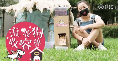 Thánh Chế Tạo - Chế Máy Cho Ăn Tự Động Và Làm Chuồng Cho Những Chú Chó Hoang