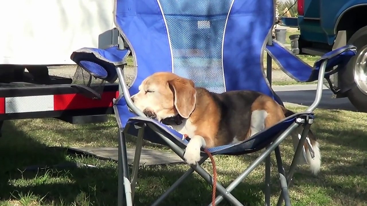 My 10 Must Have RV Gadgets