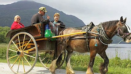 Oxford Discover Level 5 Big Question 3 Why Are Wheels Important 2