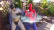 Superhero Battles - Spiderman & Batman vs Maleficent. SuperH...