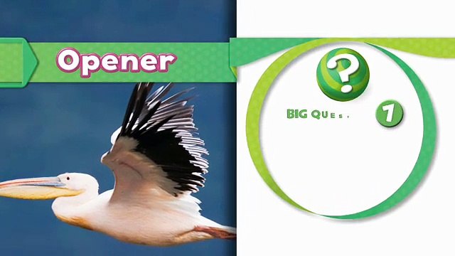 Oxford Discover Level 6 Big Question 7 What Makes Birds Special 1