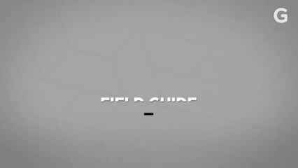 6 Essential Settings to Change on Your Phone