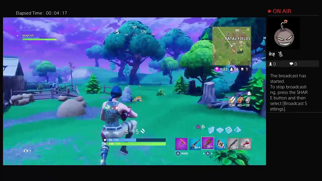 Fortnite (14)