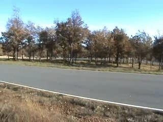 bms one 15 cc  evo  vs factory two millau 18/11/07