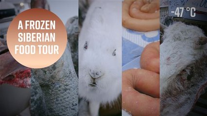 Extreme foods at -47 degrees: How many would you try?