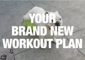 Guaranteed: Your New Workout Plan