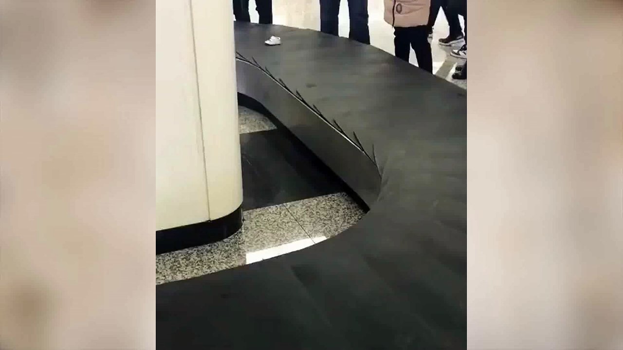 这谁的鞋，还空运过来的？