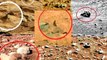 MARS, SOUND OF MARS, NEW PICTURES OF MARS, NASA , Mars Rover CURIOSITY