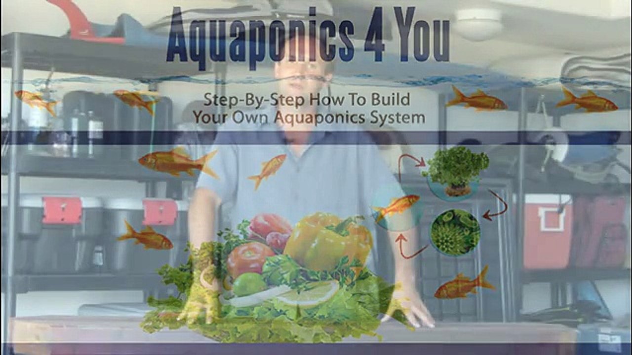 How To Build Your Own Garden Fish Pond & Waterfall | aquaponics | How to build a garden fish pond