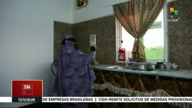 Zona Verde: Jordania: voluntarios implementan jardines verticales