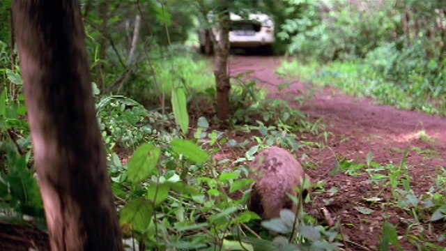 50 Lakhᴴᴰ Part 2 | Starring Pavan Malhotra | Full Length Bollywood Thriller