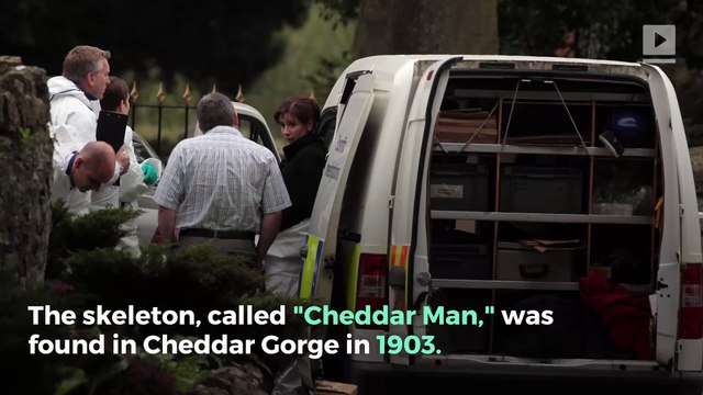 DNA From 10,000-Year-Old English Skeleton Reveals Man Had Dark Skin and Blue Eyes