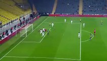 Samed Karakoç Goal HD - Fenerbahce 1-1 Giresunspor 07.02.2018