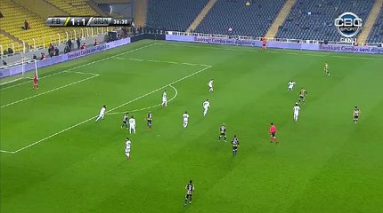 Fernandao Goal HD - Fenerbahce 2-1 Giresunspor 07.02.2018