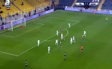 Chahechouhe Goal HD - Fenerbahce	2-1	Giresunspor 07.02.2018