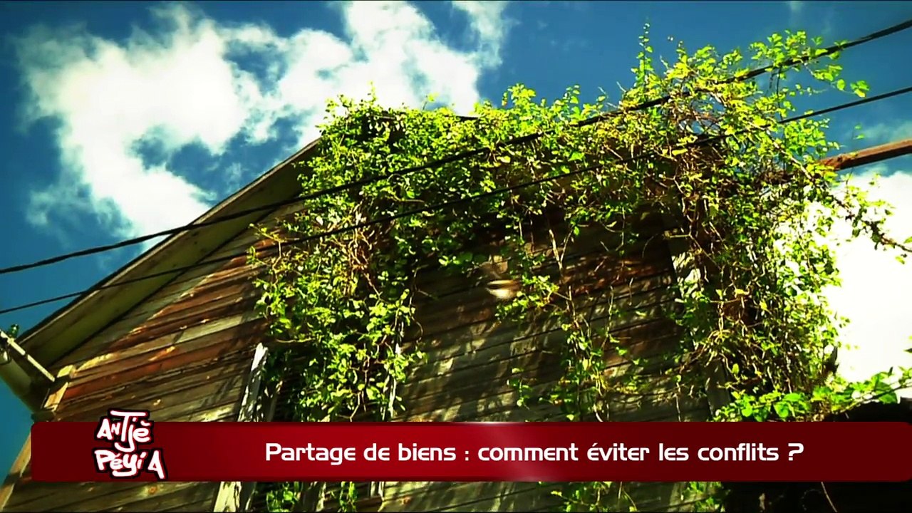 ATPA 09 02 18 PARTAGE EVITER CONFLITS SERGE LETCHIMY OK