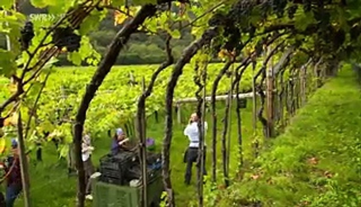 SÜDTIROL_ Rund um den Kalterer See, tv hd 2018 online free