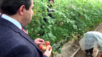 Vali Güzeloğlu, sera üreticileri ile bir araya geldi - DİYARBAKIR