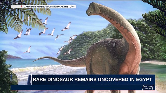 THE RUNDOWN | Rare dinosaur remains uncovered in Egypt | Wednesday, February 7th 2018