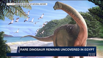THE RUNDOWN | Rare dinosaur remains uncovered in Egypt | Wednesday, February 7th 2018
