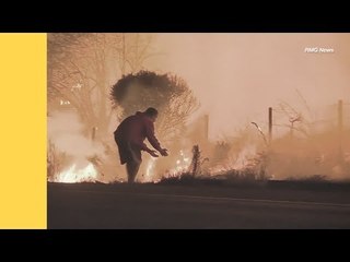 Prihatin, Gadai Nyawa Demi Arnab